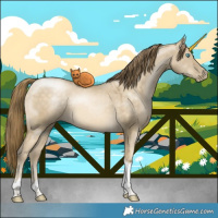 Horse Color:Buckskin Pearl Dun Tobiano