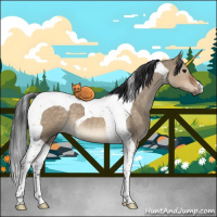 Horse Color:Brown Dun Tobiano 