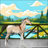 Horse Color:Brown Dun Tobiano 