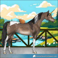Horse Color:Brown Dun Tobiano 