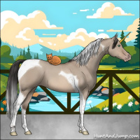 Horse Color:Sable Champagne Dun Tobiano 