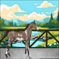 Horse Color:White Spotted Liver Red Dun Frame 