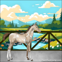 Horse Color:White Spotted Liver Red Dun Pearl 