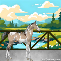 Horse Color:White Spotted Brown Dun Splash Tobiano 