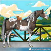 Horse Color:White Spotted Brown Dun Splash Tobiano 
