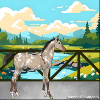 Horse Color:White Spotted Liver Red Dun 