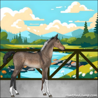 Horse Color:Brown Roan Dun Tobiano 
