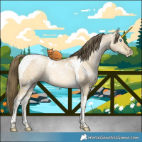 Horse Color:White Spotted Buckskin Pearl Dun Tobiano 
