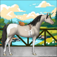 Horse Color:Classic Champagne Dun Tobiano 