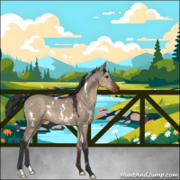 Horse Color:White Spotted Brown Dun 