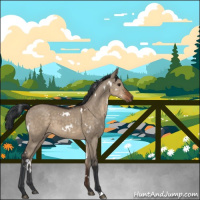 Horse Color:White Spotted Brown Dun 