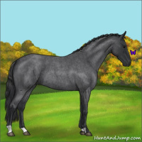 Horse Color:Blue Roan 