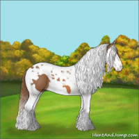 Horse Color:Chestnut Splash Tobiano 