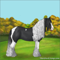 Horse Color:Black Splash Tobiano 