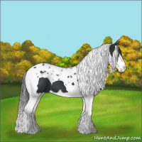 Horse Color:Black Splash Tobiano 
