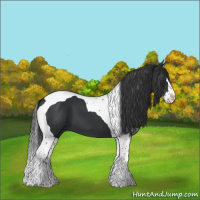 Horse Color:Black Splash Tobiano