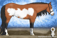 Horse Color:Bay Frame