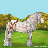 Horse Color:Chocolate Palomino Sabino Splash Appaloosa 