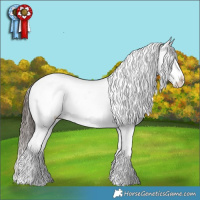 Horse Color:Liver Chestnut Snowcap Rabicano  and Liver Red Dun Blanket Rabicano 