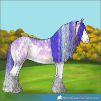 Horse Color:Watercolor White Spotted Brown Onyx Splash  and Watercolor White Spotted Buckskin Dun Splash 