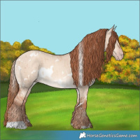 Horse Color:White Spotted Gold Champagne Dun Brindle 