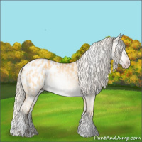 Horse Color:Gray Silver Sable Cream Champagne Roan Dun Tobiano Near Fewspot  and Gold Cream Champagne Dun Sabino Blanket 
