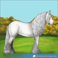 Horse Color:Gray Silver Buckskin Dun Tobiano Rabicano