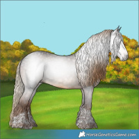Horse Color:Gray Liver Chestnut Tobiano 