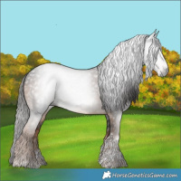 Horse Color:Gray Liver Chestnut Tobiano 