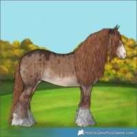 Horse Color:Liver Red Dun Brindle 