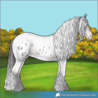 Horse Color:White Spotted Liver Chestnut Tobiano Appaloosa 