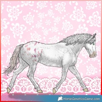 Horse Color:Chocolate Palomino Dun Snowflake Varnish Rabicano 