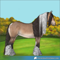 Horse Color:Bay Dun Tobiano 