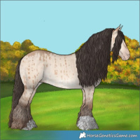 Horse Color:Amber Champagne Dun Rabicano Brindle 