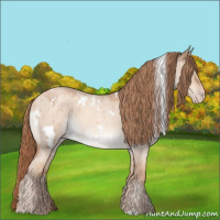 Horse Color:White Spotted Gold Champagne Roan Dun Brindle 
