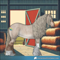 Horse Color:Liver Red Dun Roan Tobiano Rabicano 