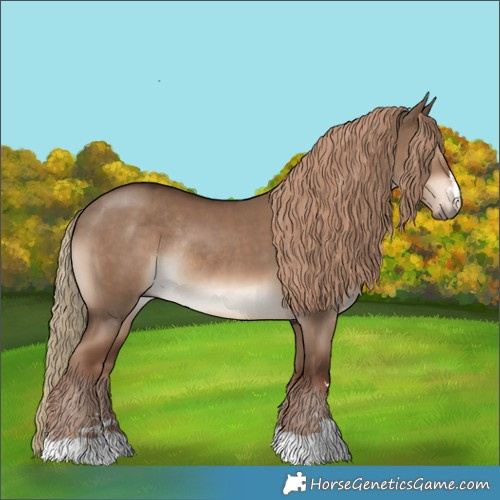 Horse Color:Liver Red Dun Rabicano 