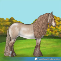 Horse Color:Liver Red Dun Rabicano 