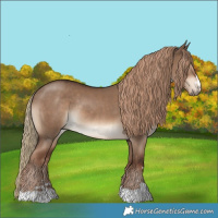 Horse Color:Liver Red Dun Rabicano 