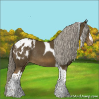 Horse Color:Chocolate Palomino Tobiano Blanket Rabicano 