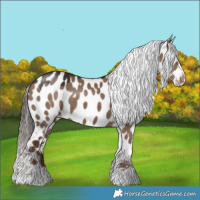 Horse Color:Liver Red Dun Near Leopard 