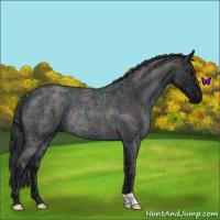 Horse Color:Midnight Blue Ice Roan Rabicano 