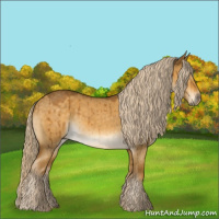 Horse Color:Chocolate Palomino Roan Dun Brindle