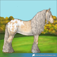 Horse Color:White Spotted Palomino Dun Appaloosa Rabicano Brindle 