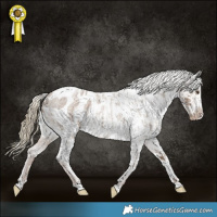 Horse Color:Liver Red Dun Roan Near Leopard  and Liver Red Dun Roan Blanket 