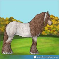 Horse Color:Liver Red Dun Roan Rabicano 