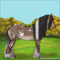 Horse Color:White Spotted Liver Red Dun Tobiano 