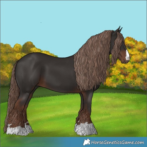 Horse Color:Liver Chestnut 