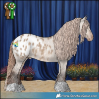Horse Color:Liver Red Dun Appaloosa