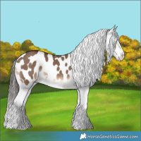 Horse Color:Liver Red Dun Tobiano Appaloosa Rabicano 